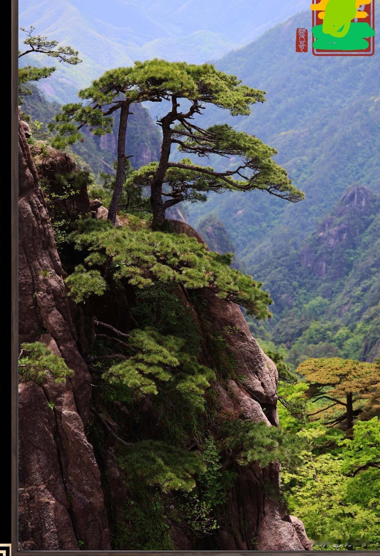 迎客松，大峡谷