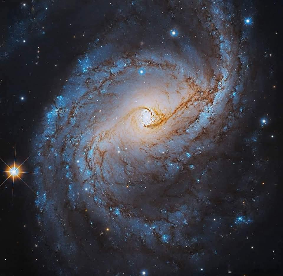 在仙王座方向约7800万光年处，中等螺旋星系NGC6951看起来几乎平静：明亮