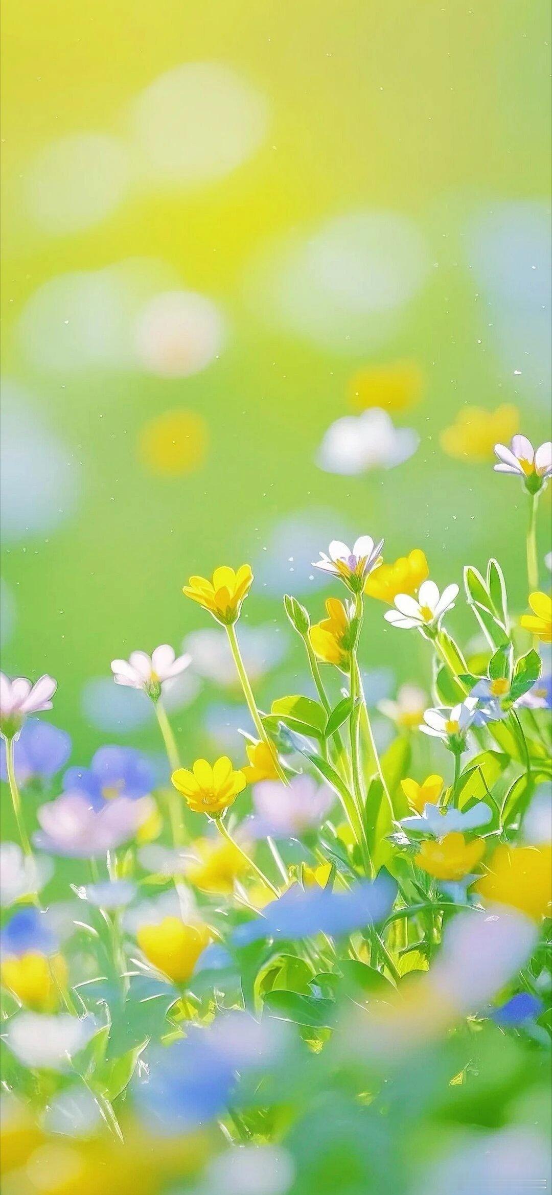 渐变色小碎花朵治愈聊天背景图壁纸