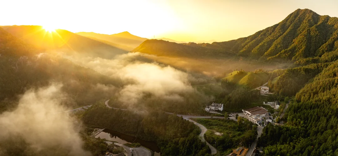 26年人民币汇率预测纲要