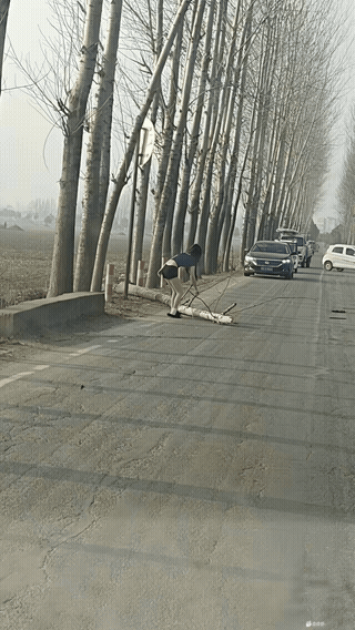 她为什么会这么美！？？？