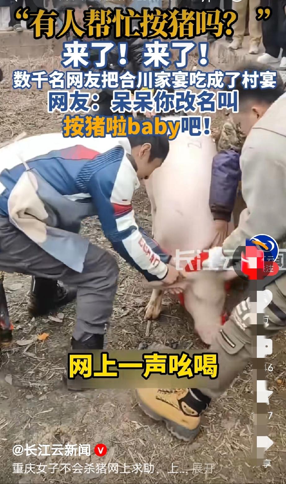 什么叫文旅？有事真帮，有事真干，这才是好文旅，地方旅游文化宣传的带头人！！