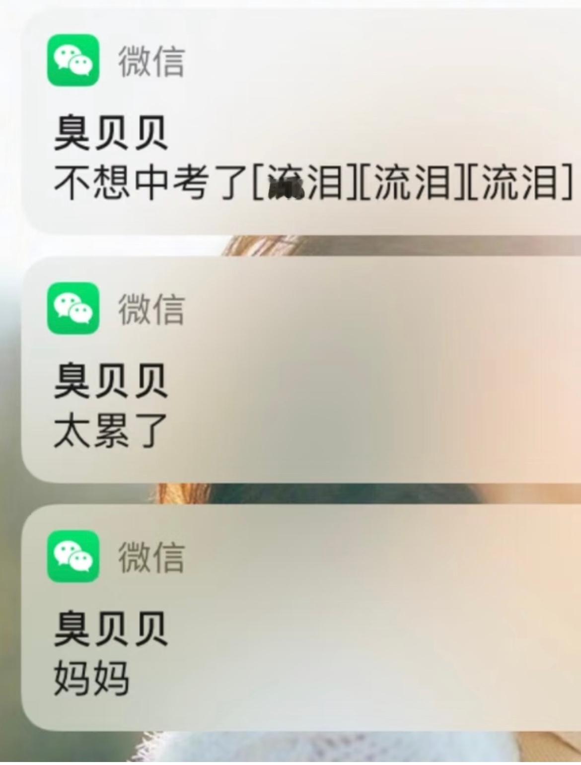 初三生不想读书了