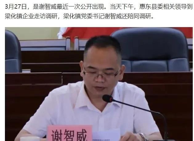 乡村干部“变脸记”：从模范到阶下囚，这背后藏着什么？谢智威，1977年出生，从