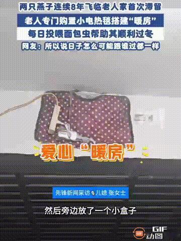河北保定一名女子的家里，有一只燕子已经连续八年在她家筑巢，但今年由于天气冷得太快