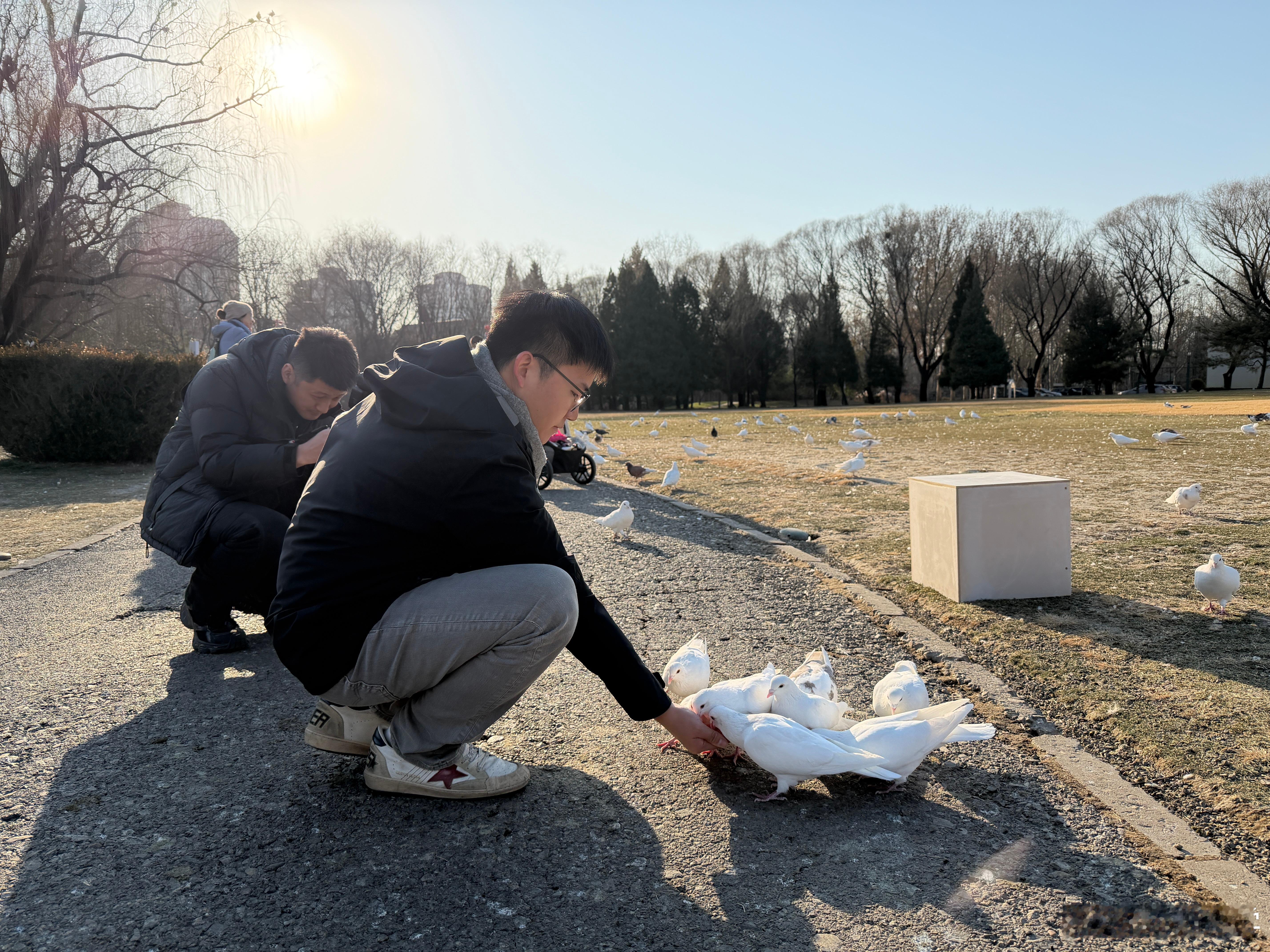 中央定调明年继续国补和我此前的猜想一样，不会说到2026年购置税“退坡”后，买