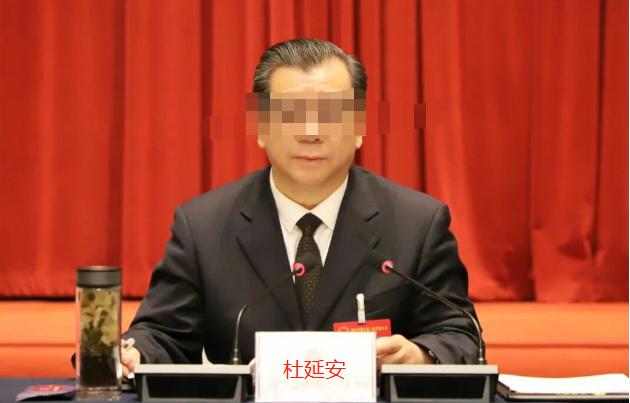 杜延安？这名字一听就“红”！哈哈，挺敏锐的语感！“杜延安”这个名字确实容易让