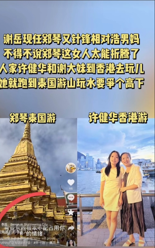 郑琴文化水准还挺高！她的意思是没想到谢浩男会突然被找到！没想到事情会发展到不利于