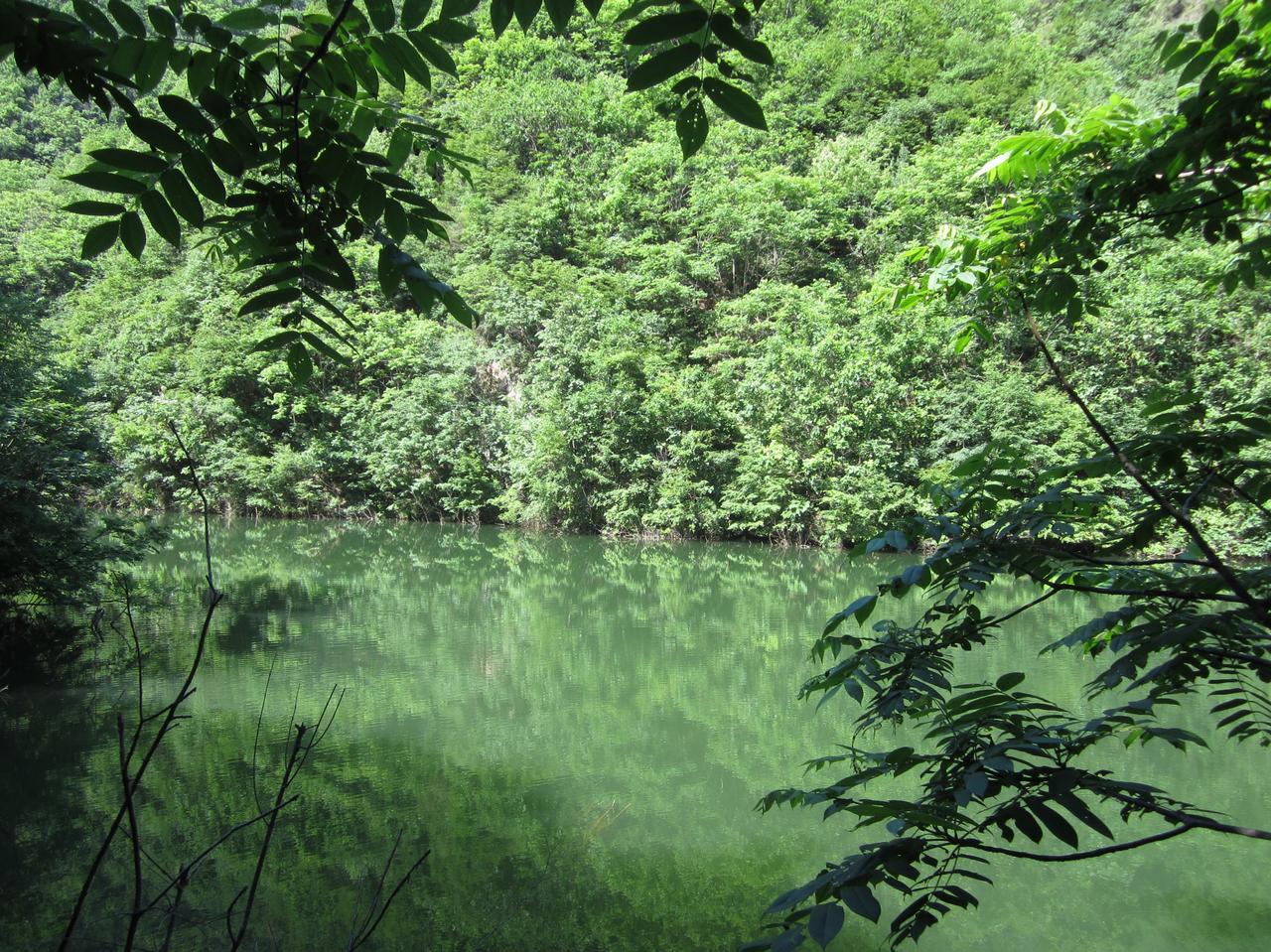 小鹰明面上放出谈判信号，小以却狠狠轰炸波斯猫！内塔更是要求小鹰不要停火！波斯猫对