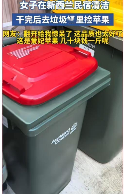 新西兰已经物资丰富到这个地步了？丢的苹果竟然比我在水果店买的还要新鲜，关键垃