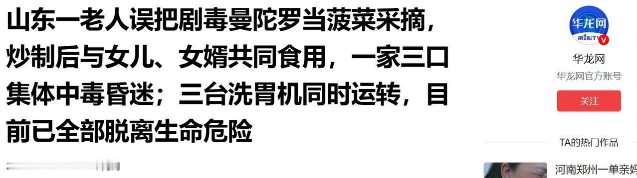 山东东营，一名老人误将剧毒曼陀罗幼苗当成菠菜采摘回家，炒制后与女儿、女婿共同食用