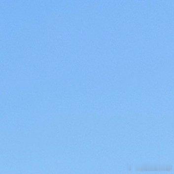 种植🌹二乔玉兰种植方法1.准备苗木：选择健康的二乔玉兰苗木，最好是根系发达、