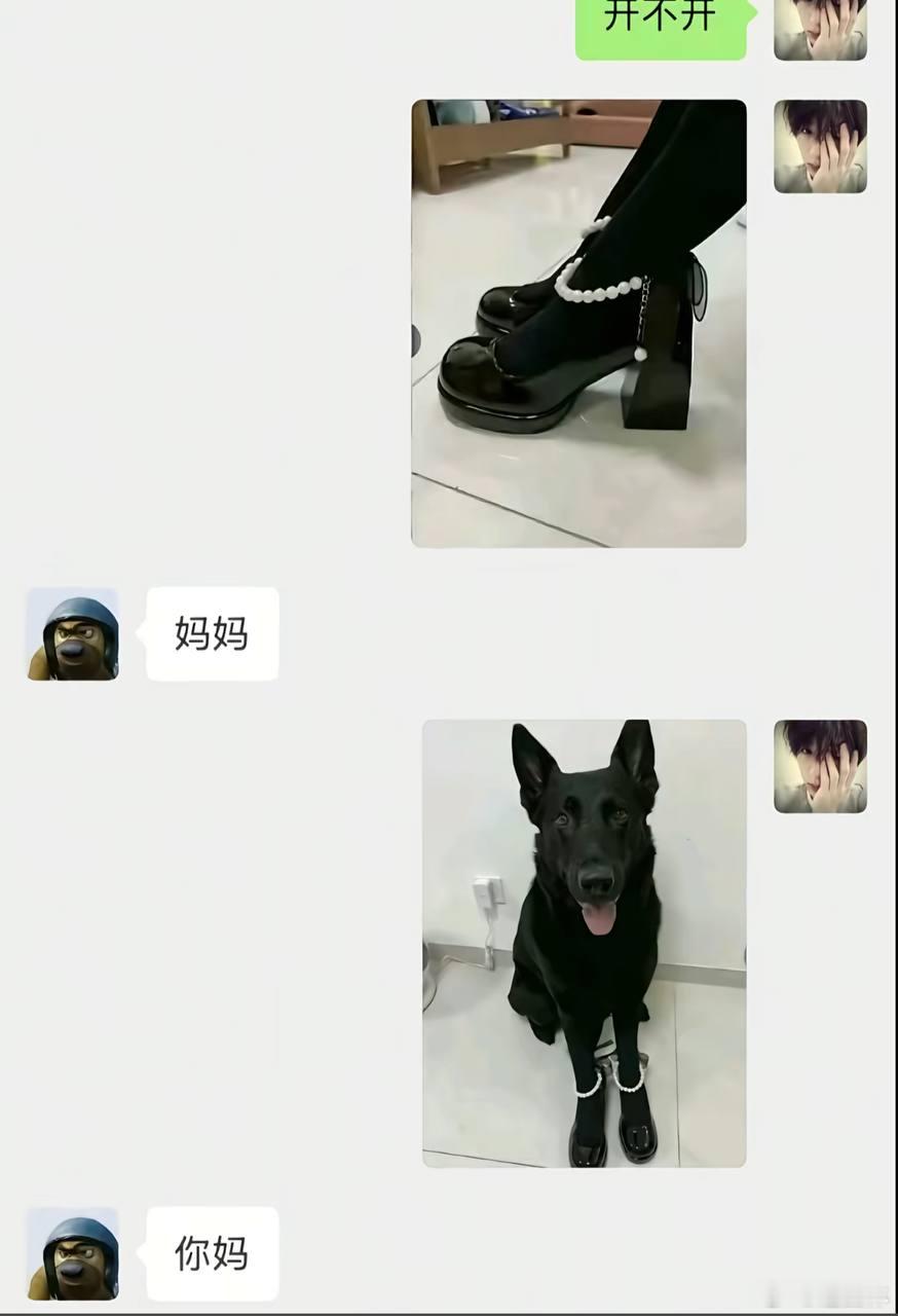 妈迷惑图