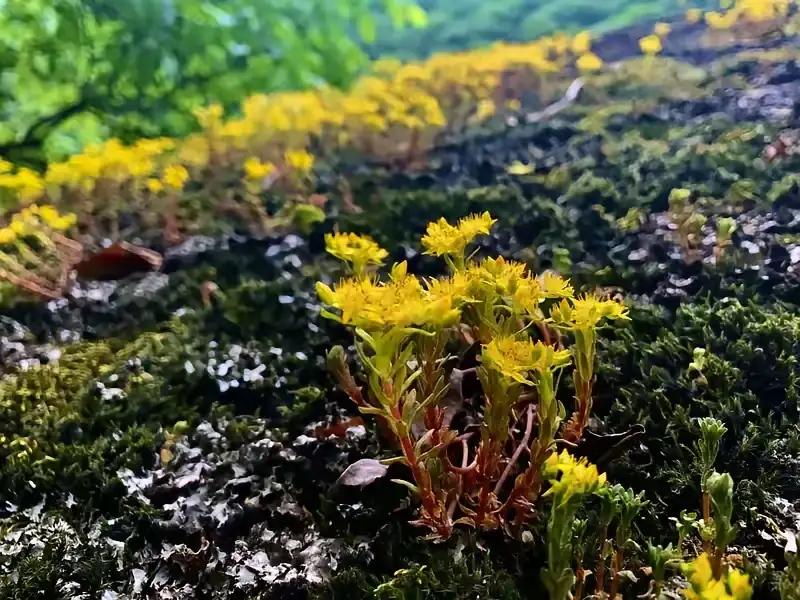 今日爆款文章《幸福不属于富人，也不属于穷人，而属于知足的人》在这个快节奏、充