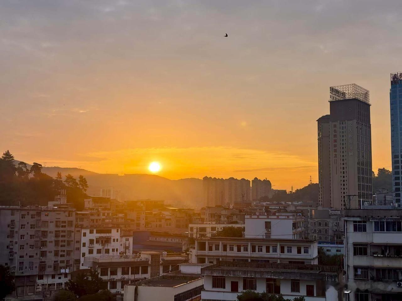 衡水中学的老教师，一句话把高考那点底裤全扒了：“进了高中，是龙是虫，三门主科先