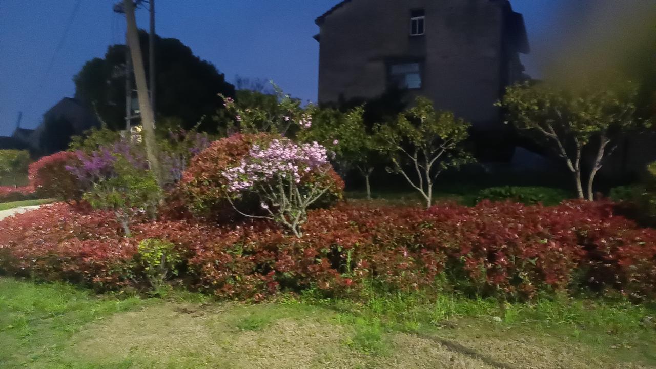 虽然“隔夜菜”听起来可怕，但其实只要保存得当（冷藏、密封），很多食物隔夜吃并没有