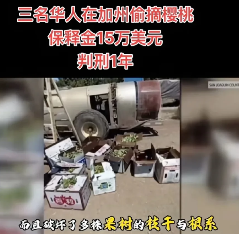 丢人都丢到美国去了。6月1日，三名华人未经许可，在美国的公园里采