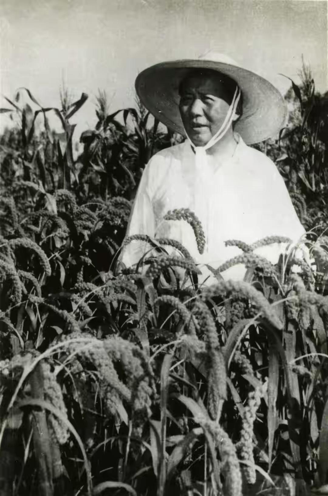 为什么毛主席多次强调，千万别让富人太富？否则后果谁都承担不起这话搁今天听，有