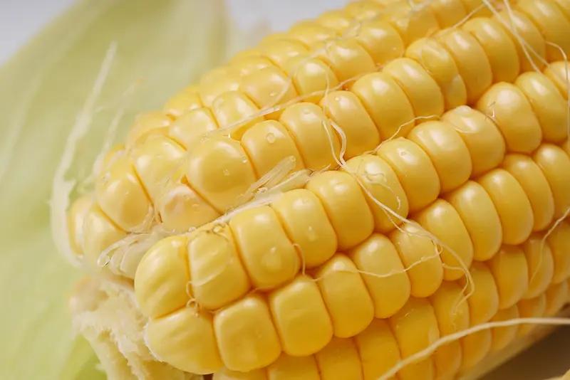 在我这儿，玉米叫棒子，还挺形象，圆滚滚的就像个棒槌。不过不同地方对玉米的叫法千奇