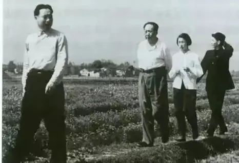 “老人家重要，还是我重要！”毛主席少见的当众训人
