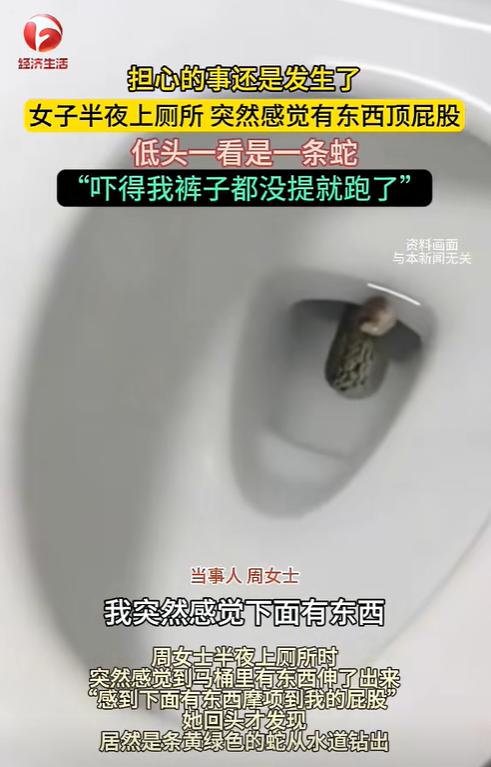 “真吓人！”近日报道，江苏无锡一女子半夜上厕所，突然感觉下面有东西伸出来，顶到了