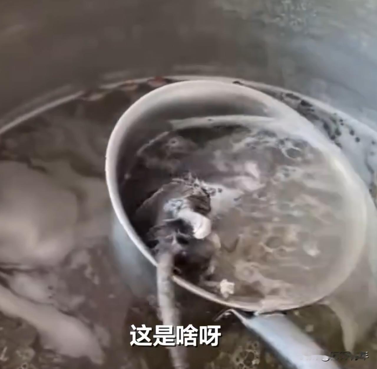 12月25日，广西百色一网友到右江区四塘镇“百色市右江区岑某某餐饮店”吃早饭。汤