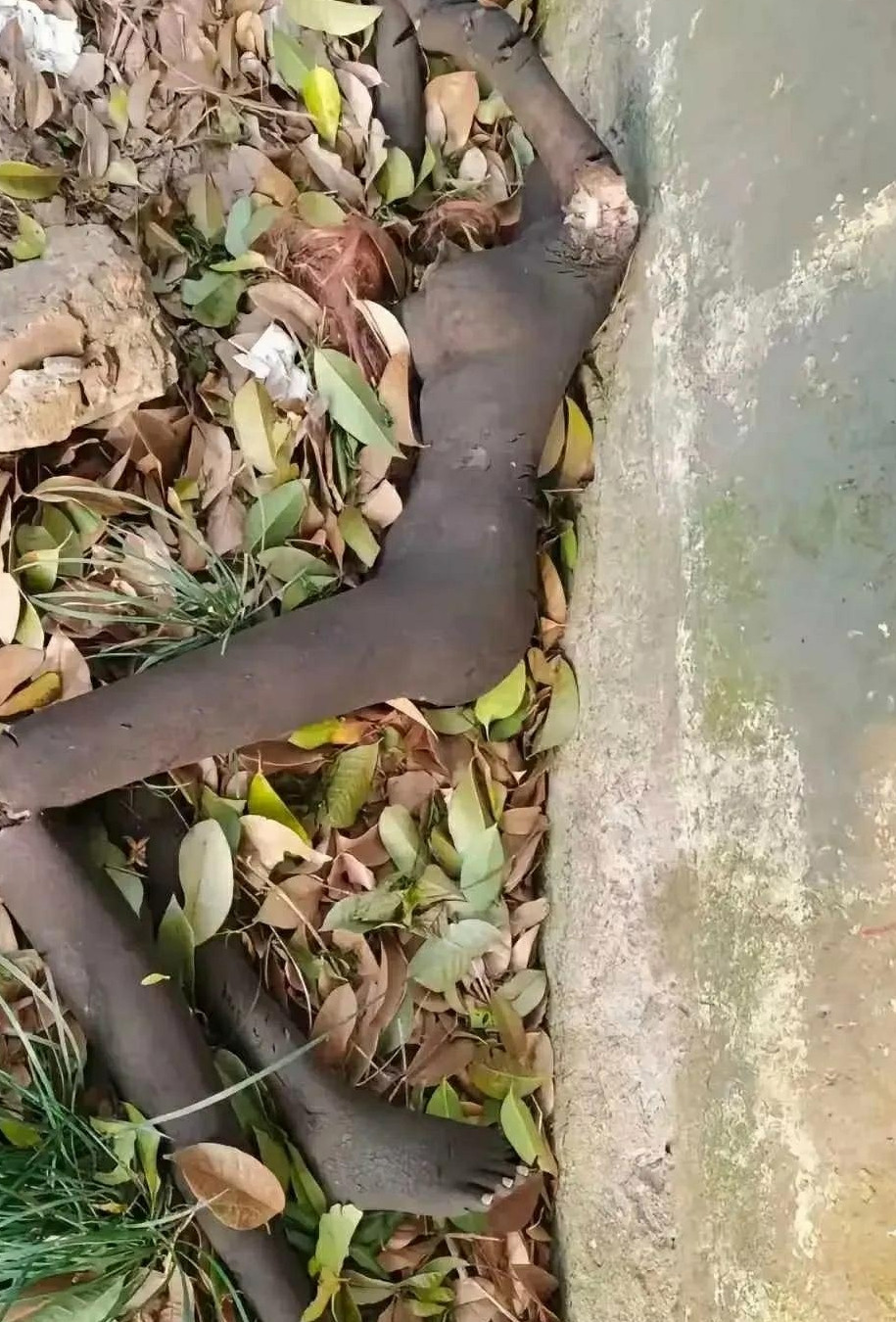 我差点准备报警了，吓死了