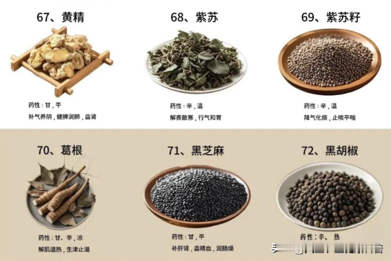 什么药材种植前景最好?2026年中药材市场告别普涨行情，进入结构性分化阶段，不