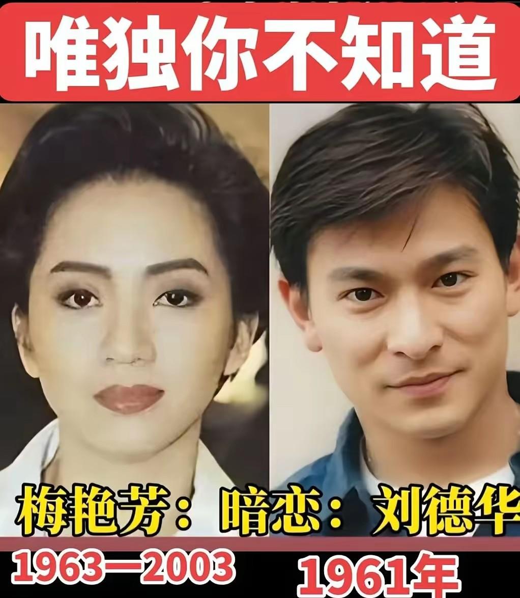 大家都知道刘德华是梅艳芳一生中的白月光，梅艳芳暗恋刘德华已经不是什么秘密，刘德华