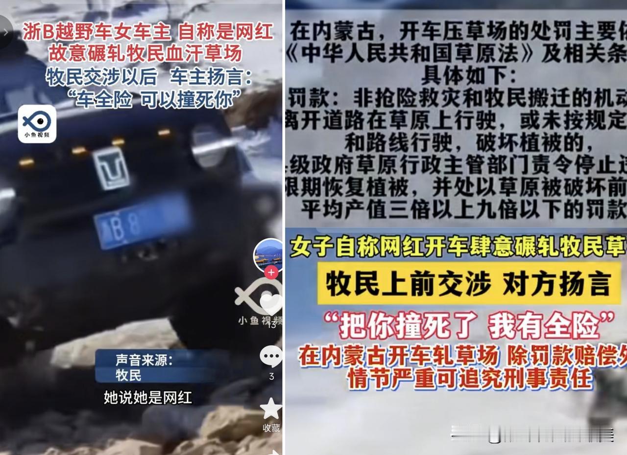 看完真是太气人了，前两天在内蒙古赤峰，有个自称是女网红的人，把越野车开进
