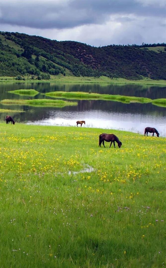 519中国旅游日微博旅行ing新疆的风景，简直是大自然的“调色盘”！雪山、草原