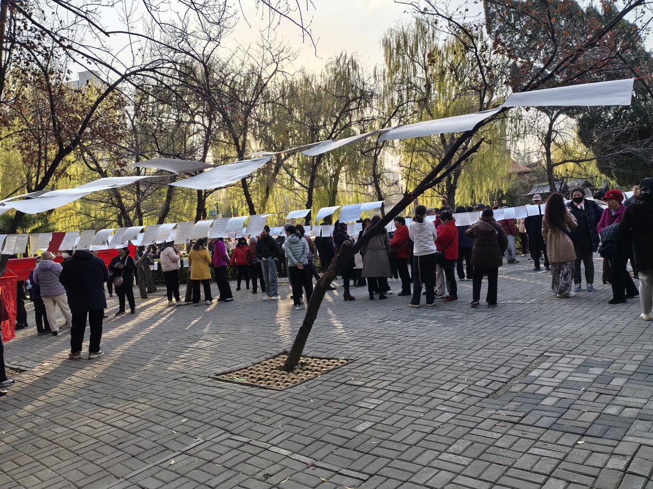 这个相亲角聚了这么多人，她们大多是给孩子相亲的，大概看了一下，优秀女孩真多，优秀