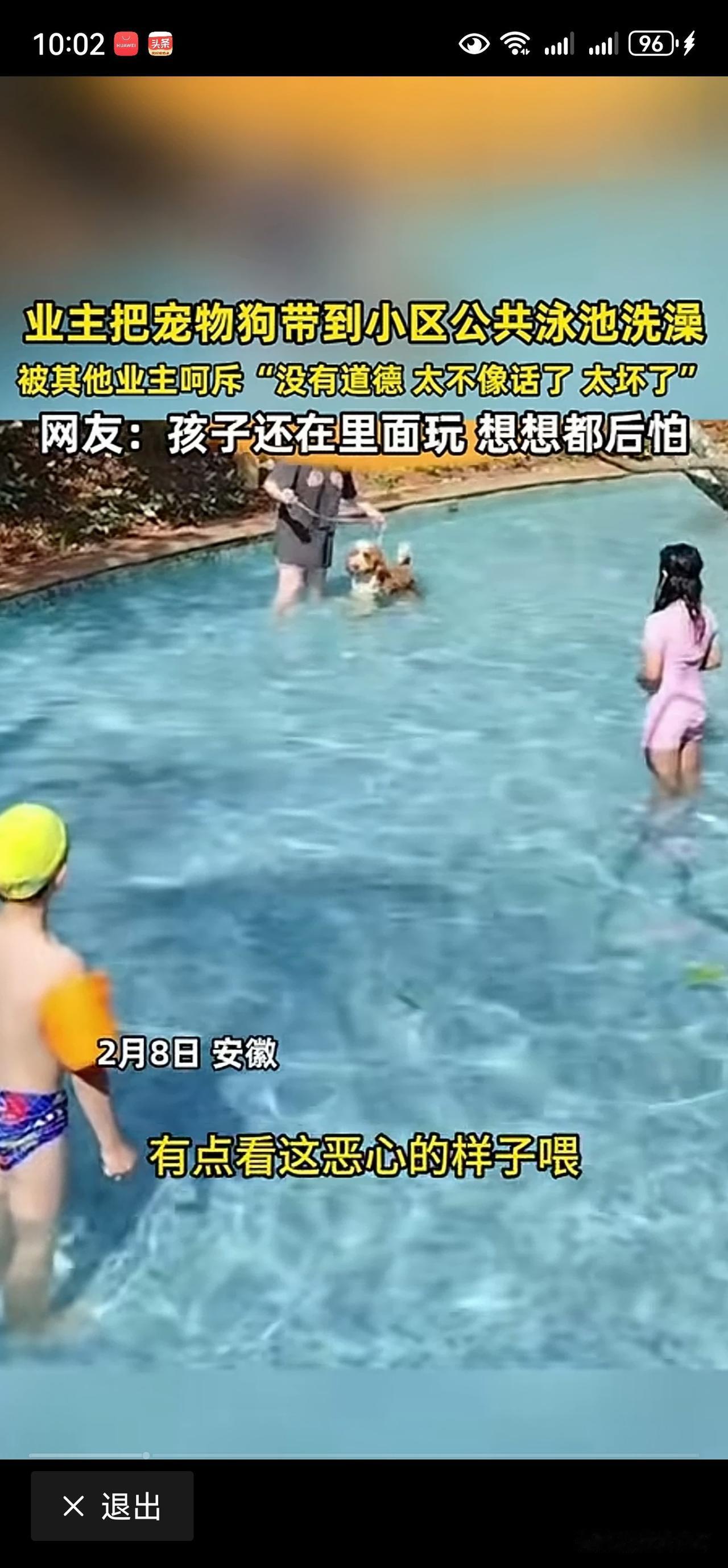 业主把狗带进小区泳池洗澡。评：“人狗同浴”这事真的太没公德心了！公共泳池是大家