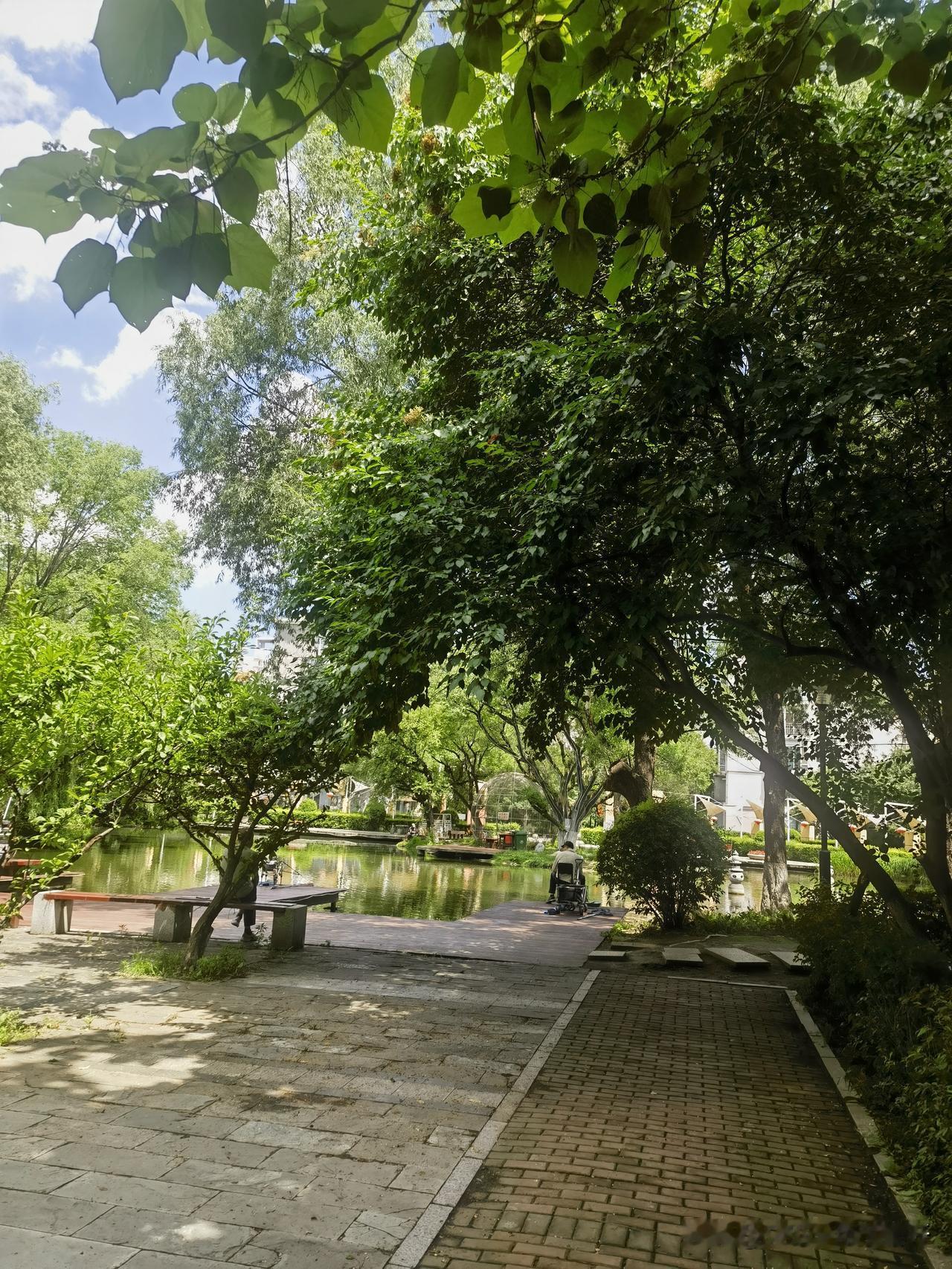 离开家在南京住了半年多，有点物是人非的感觉昨天在小区外面碰见一个比我大十几岁