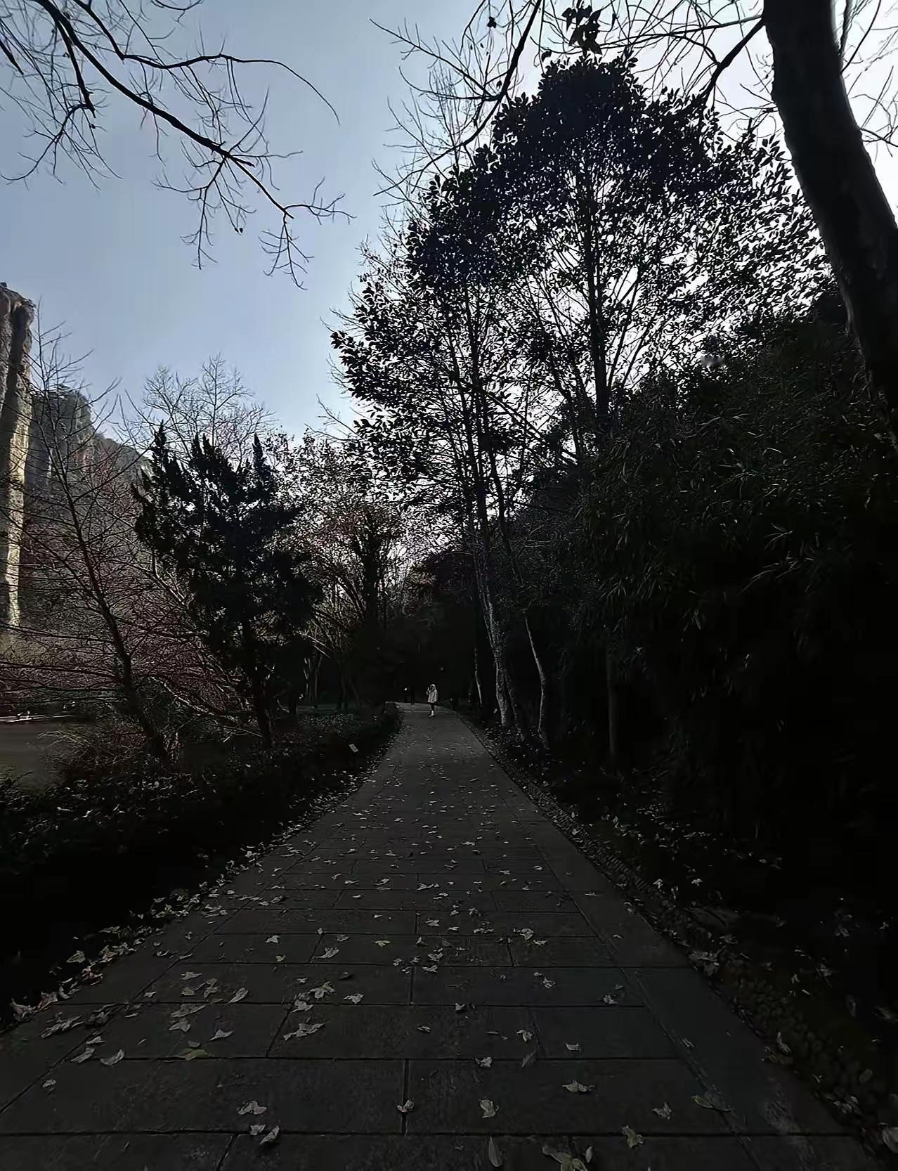 休学两年宅家自闭，每天自我否定：我真的活得毫无意义吗怎么办啊，我到底要不要