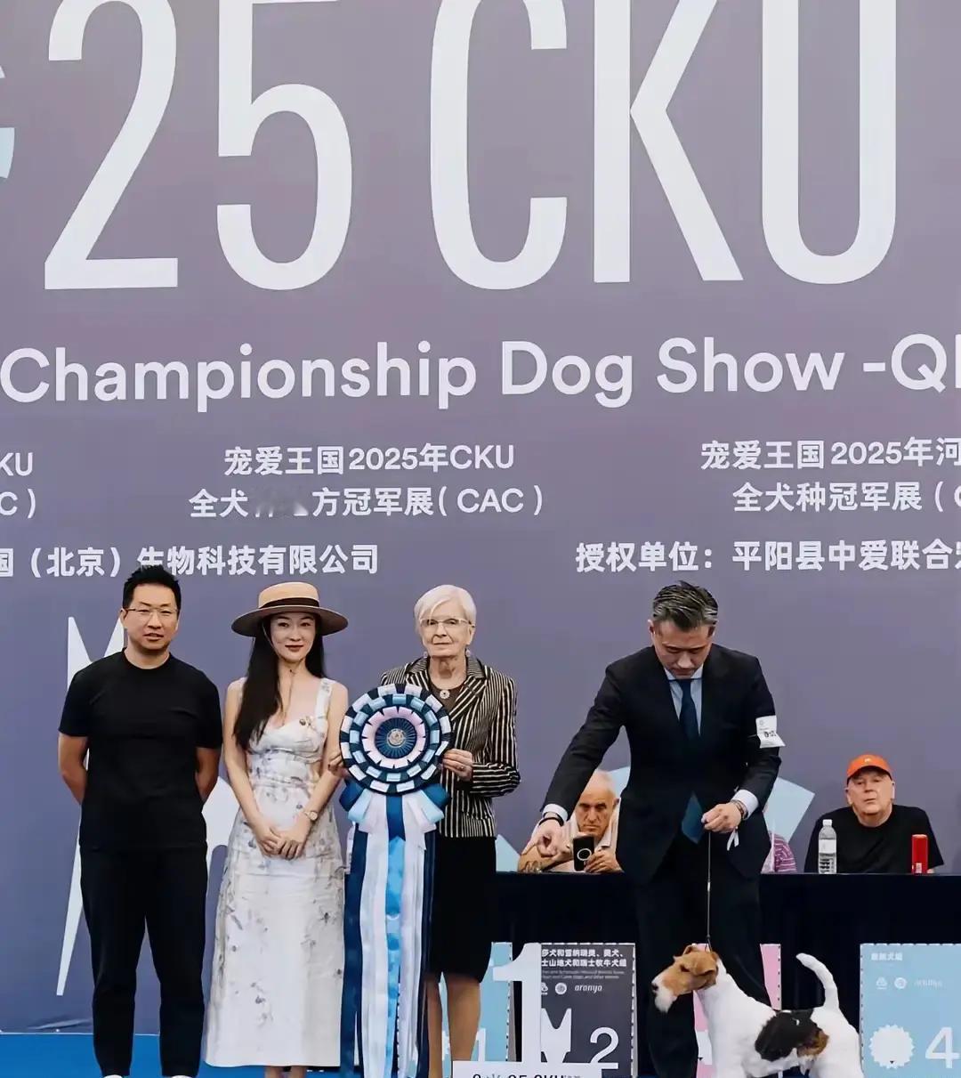 她让所有人看到最顺滑的结果，却藏着最粗暴的付出。你刷到霍思燕的狗又夺冠了。镜