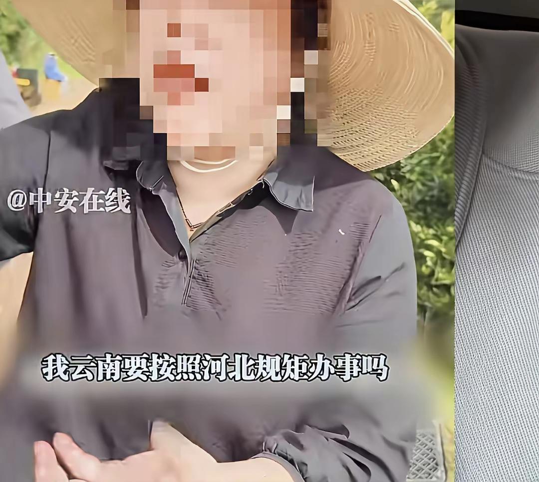 云南的规矩，才是规矩！云南人的喜好，才是橙子的收购标准！一个河北人到云南收购