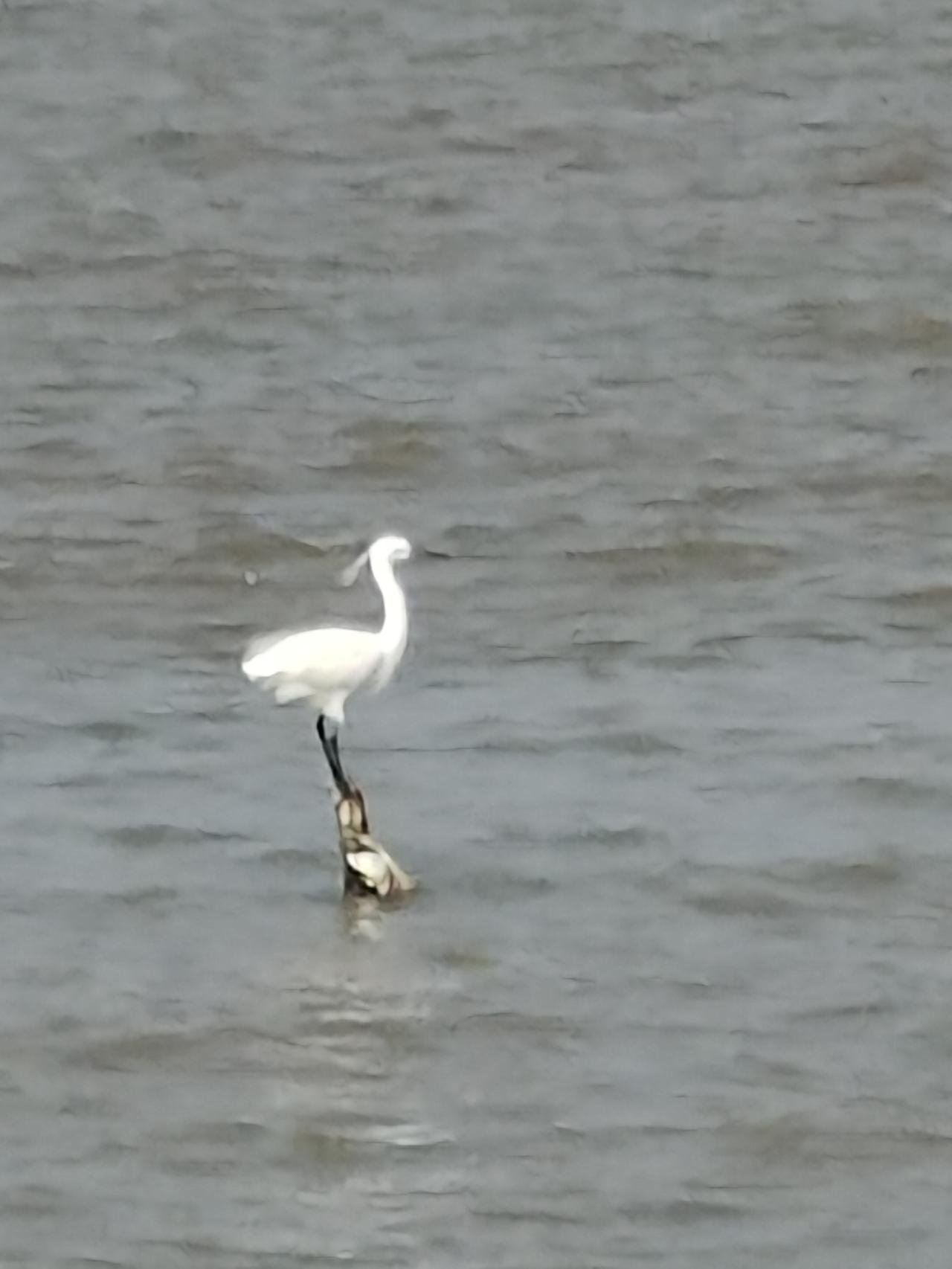 成年人顶级清醒：看破不说破，是修养更是自保永远别轻易指出身边人的错，亲戚朋