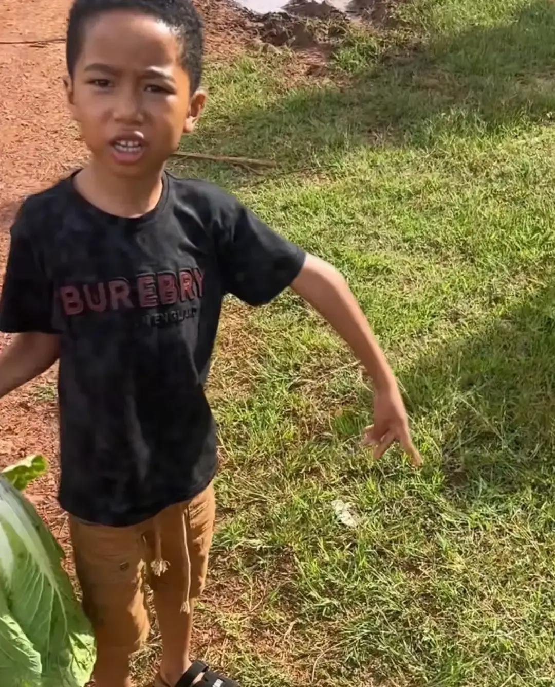 菲利把三岁半的豆豆带去坦桑尼亚三个月，回来孩子话都说不利索，数字颜色全忘光，胳膊