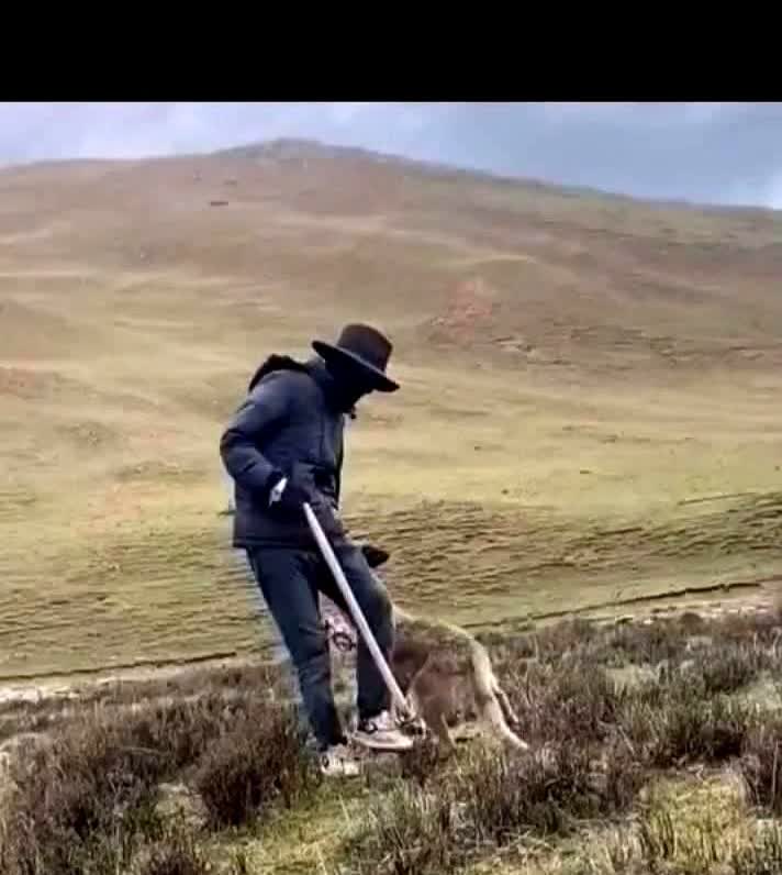 解放前有一村民，夏天在地割草，累了，躺在阴凉处休息，不想睡着了，不知多久，朦胧中