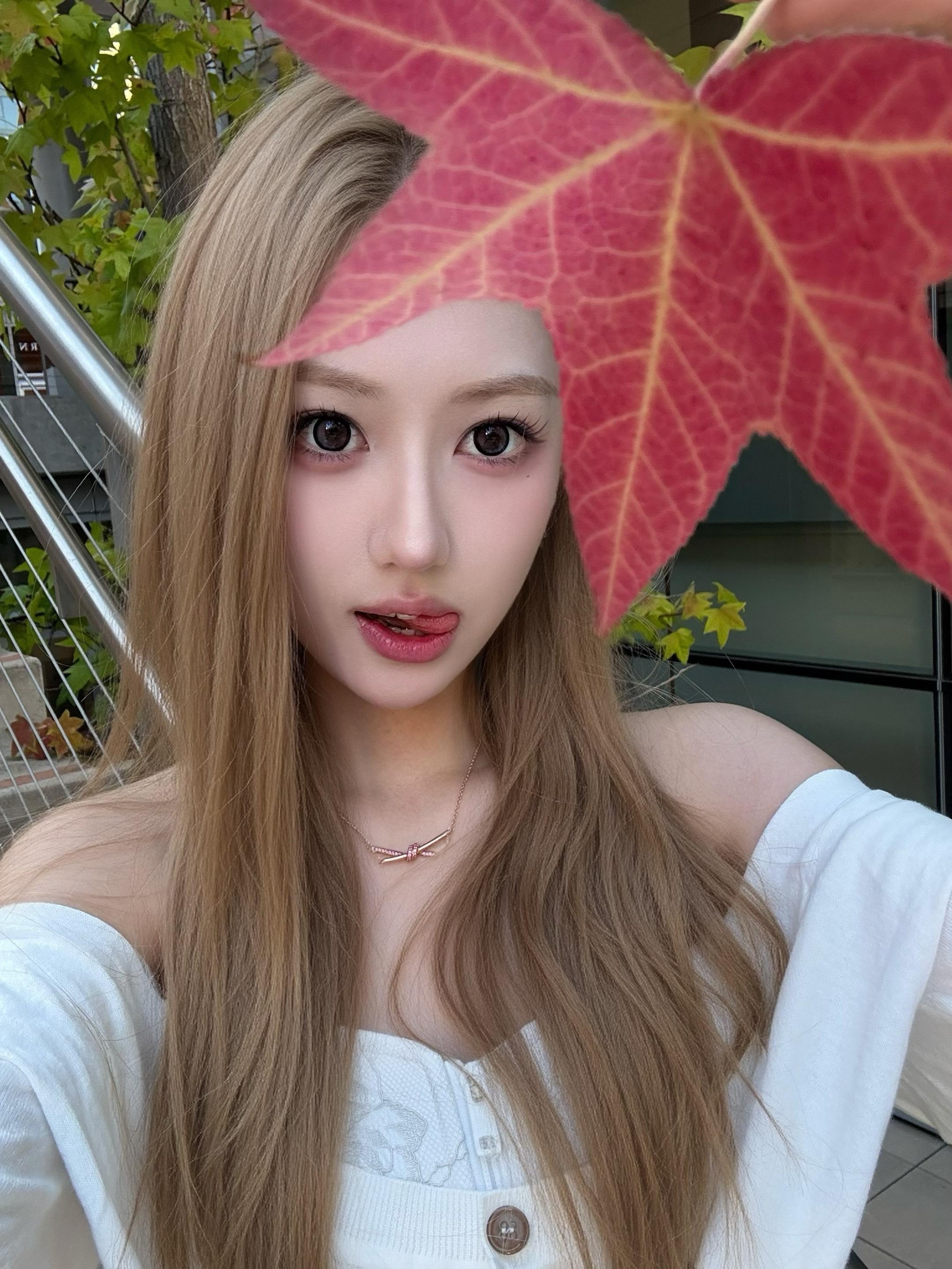 秋天🍁