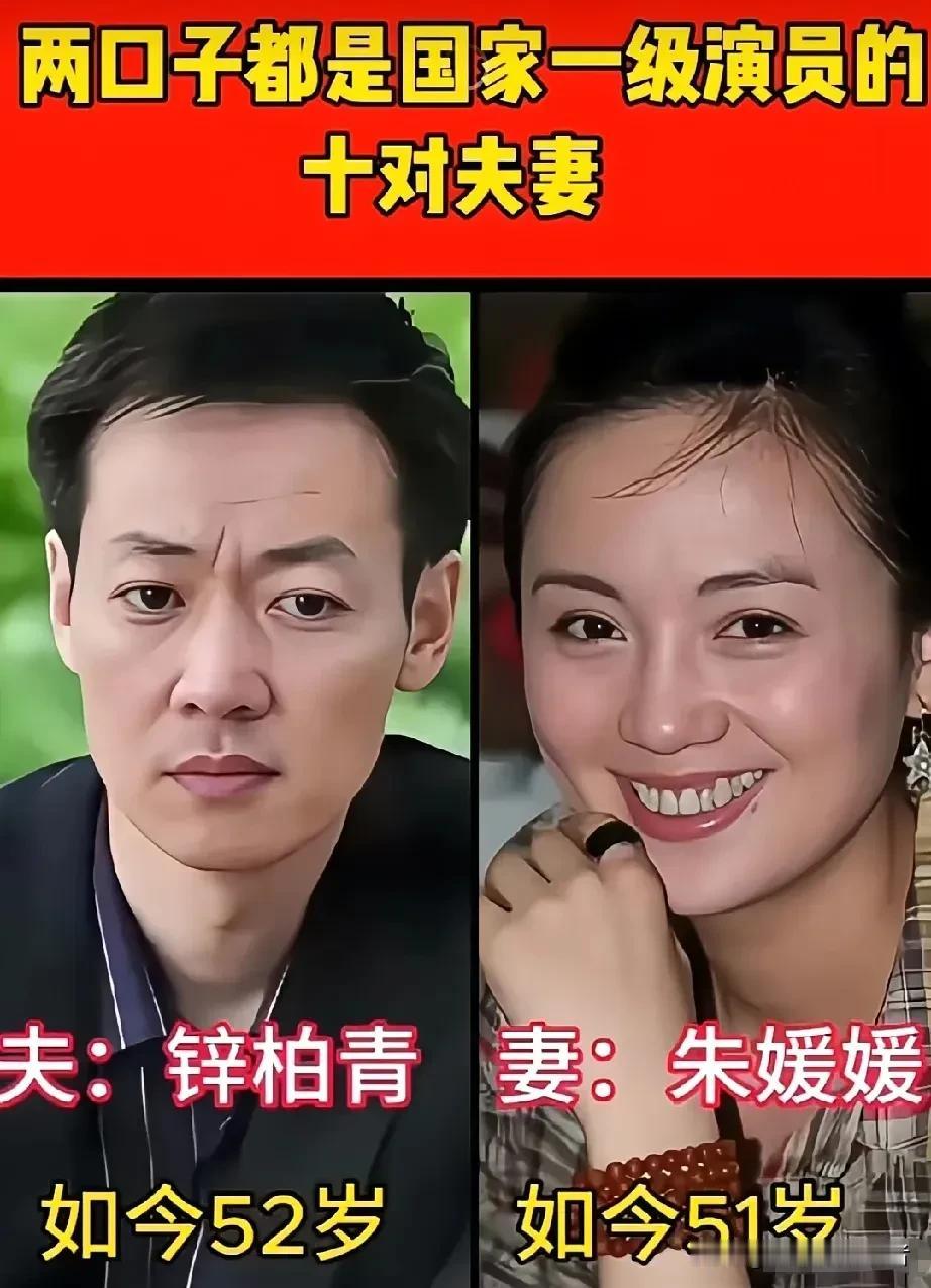 双双获评国家一级演员的十对演艺圈模范夫妻。演艺圈难得有十对夫妻，二人皆是实打实