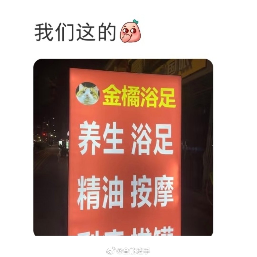 各行各业都有属于自己的猫奴