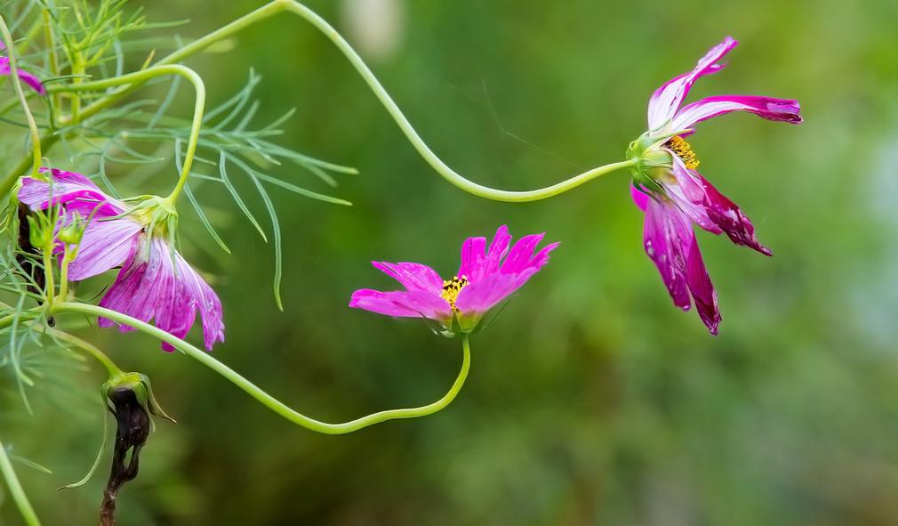 昨天跟一个高二的学生家长闲聊，这个学生是重点高中的学生，当初中考的时候，也是超常