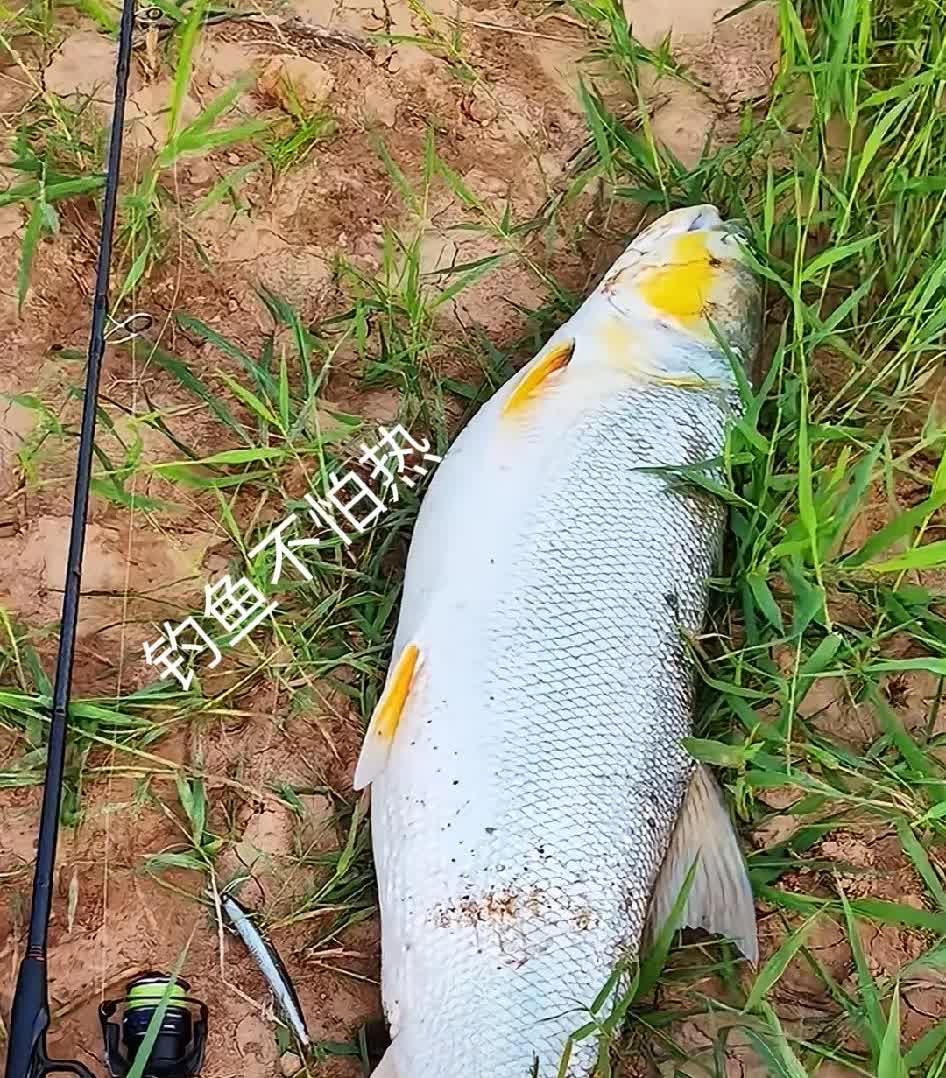 我和老邻居去钓鱼，他都是直接手杆上七星漂，连铅坠都不用，上三颗七星漂，不带钩。我