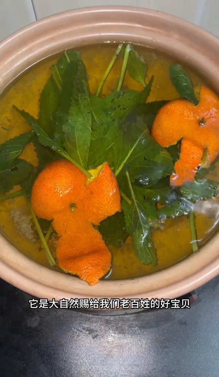 谁能想到路边那棵丑得像癞蛤蟆皮的野草，学名竟然叫这么仙气的“雪见草”？以前见一