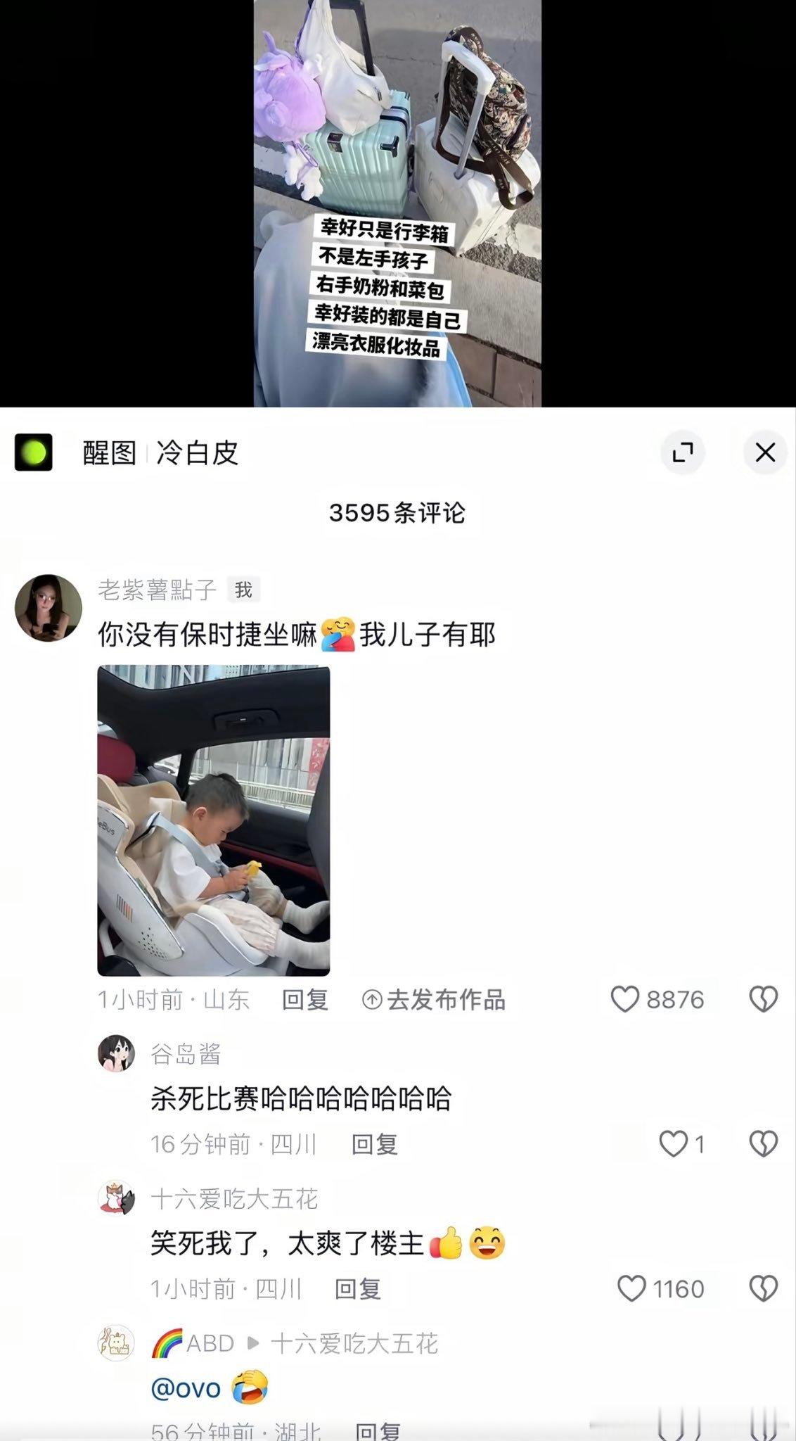 嘲讽拉满。