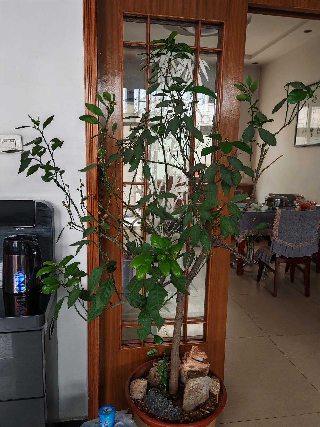 笑死我了，哈哈哈哈！昨天有个很久不来的亲戚来我家，寒暄几句后可能感觉没话说了，就