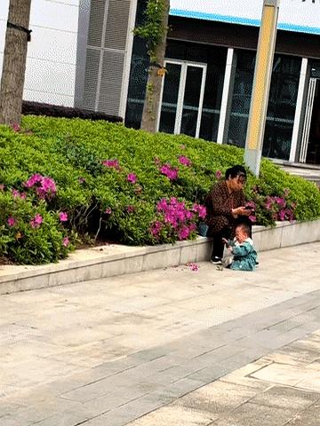 宝宝在地上哭得打滚，鼻涕眼泪糊了一脸，奶奶却低着头刷手机，连眼皮都不抬一下——这