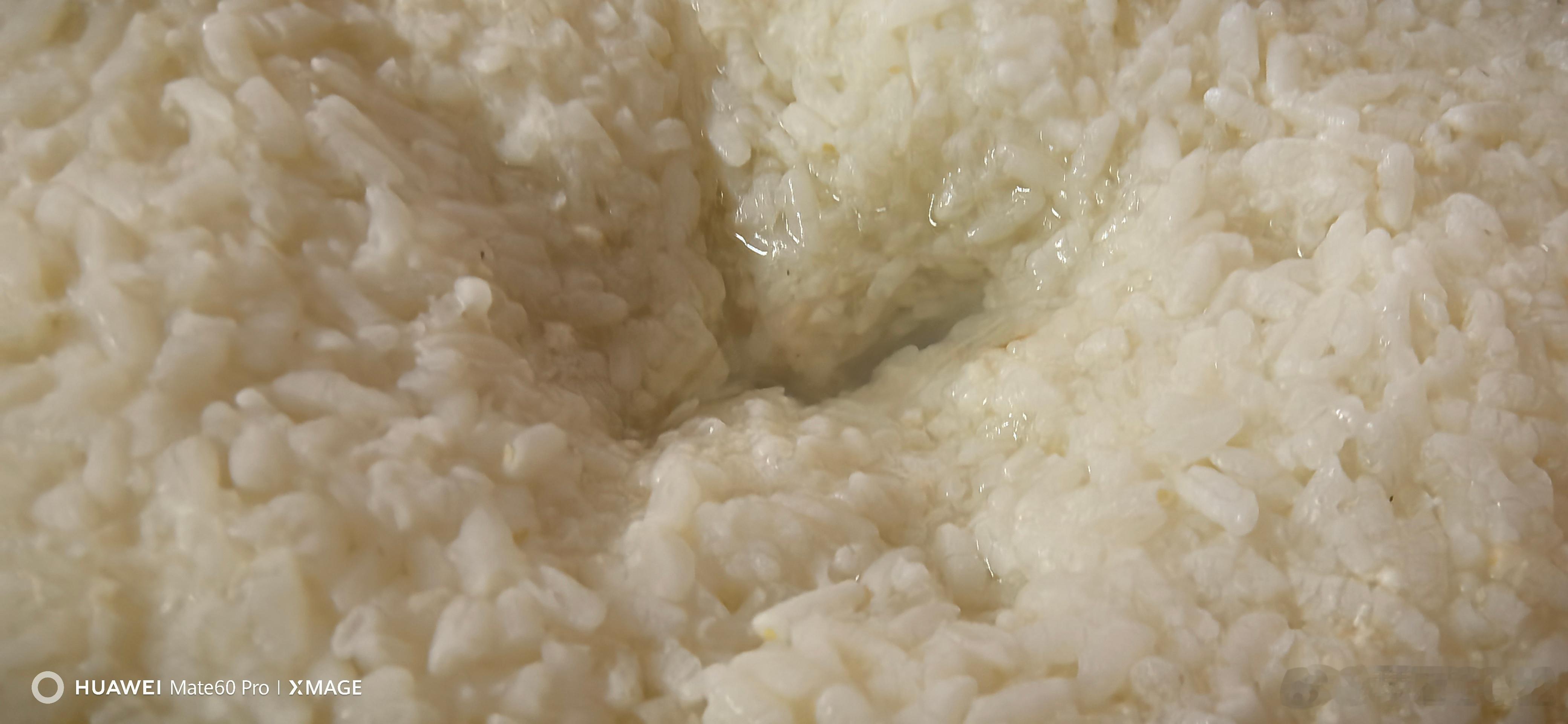 她有酒酿吃，我有酒喝今天，又一锅新鲜酒酿出窝！我的美食日记不可辜负的美食美食分享